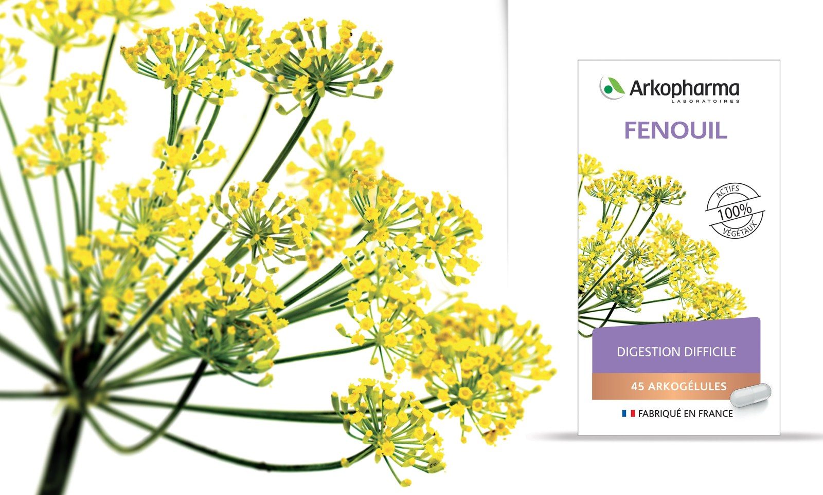 Arkogélules — Arkopharma