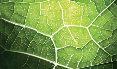 Talidad Agence de Communication Paris et Nice