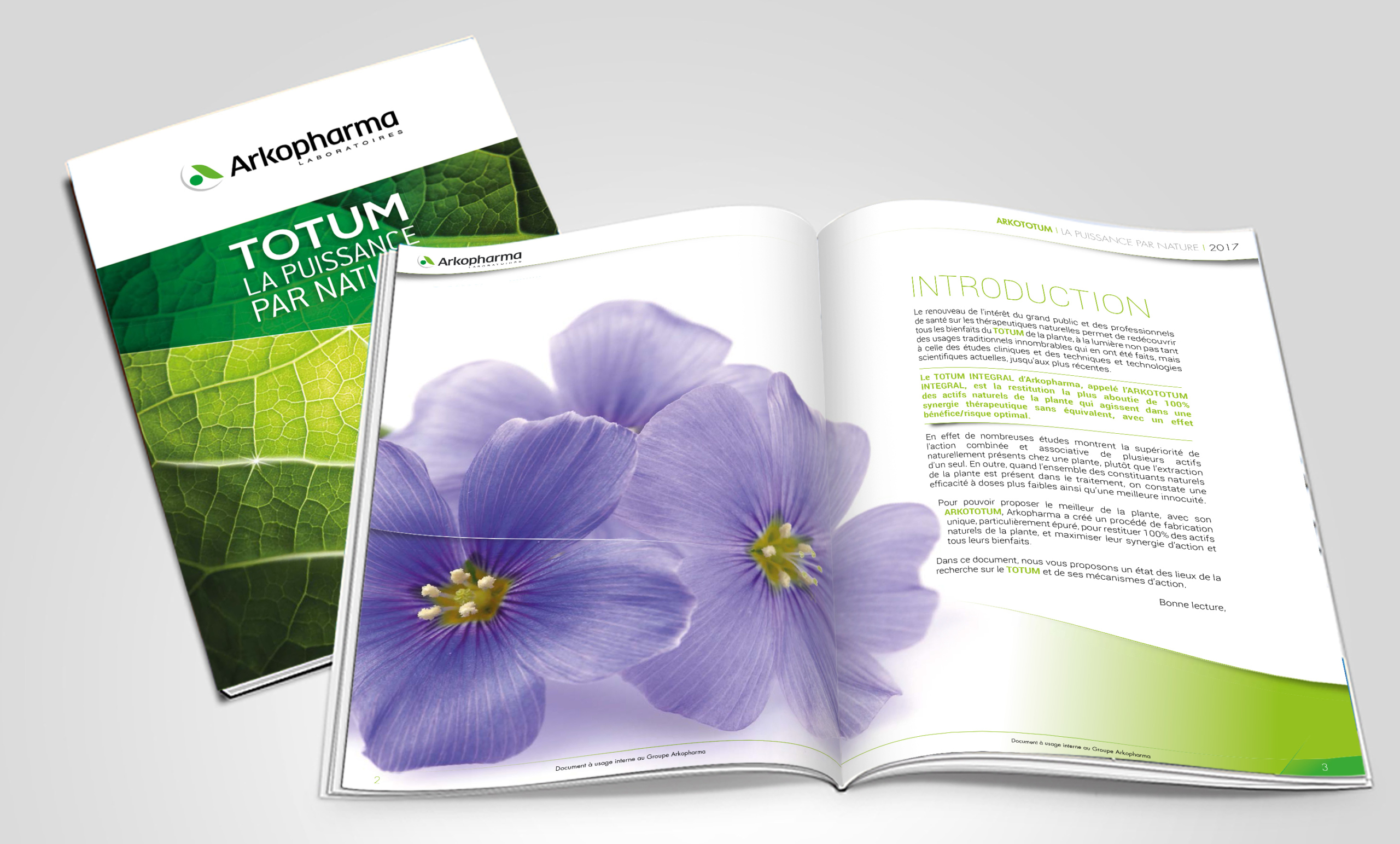 Talidad Agence de Communication Paris et Nice