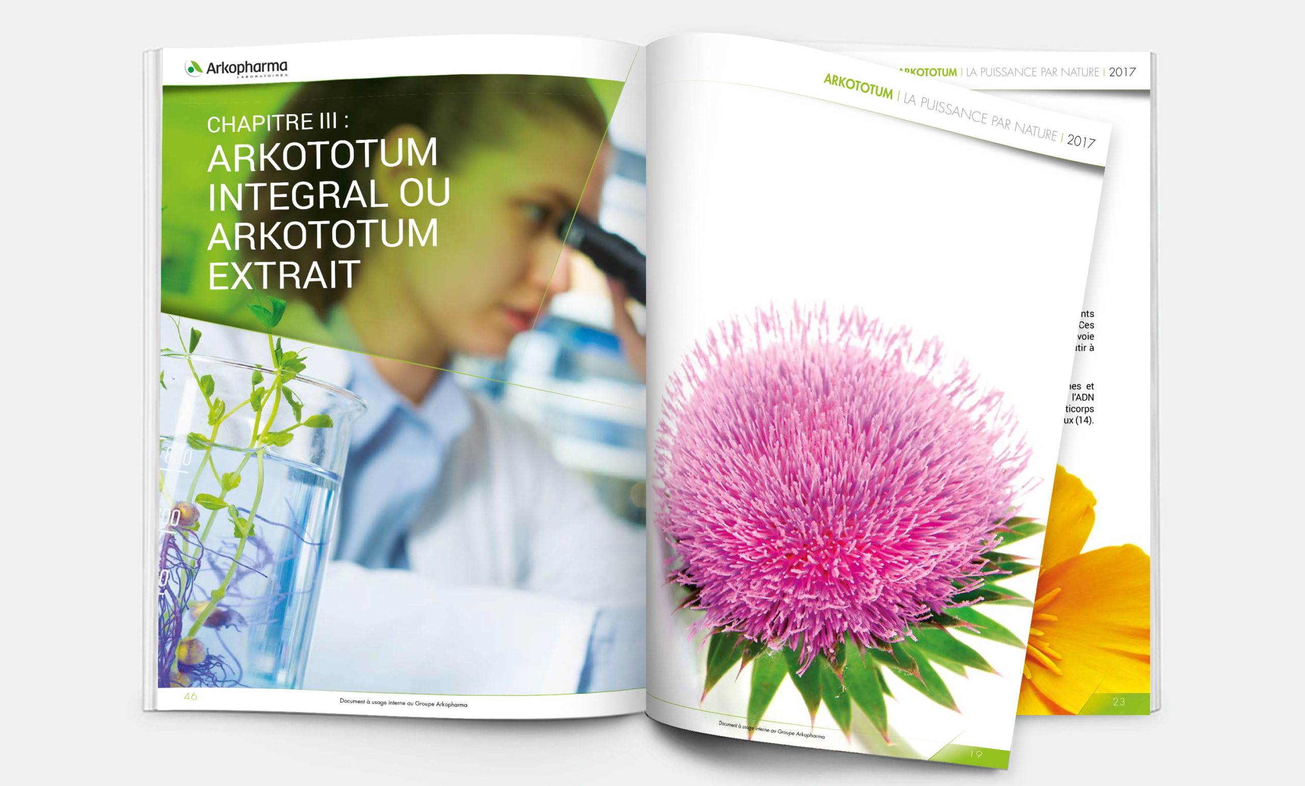 Talidad Agence de Communication Paris et Nice