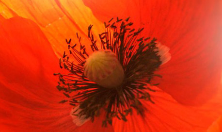 Talidad Paris et Nice Agence web design identité visuelle Logo