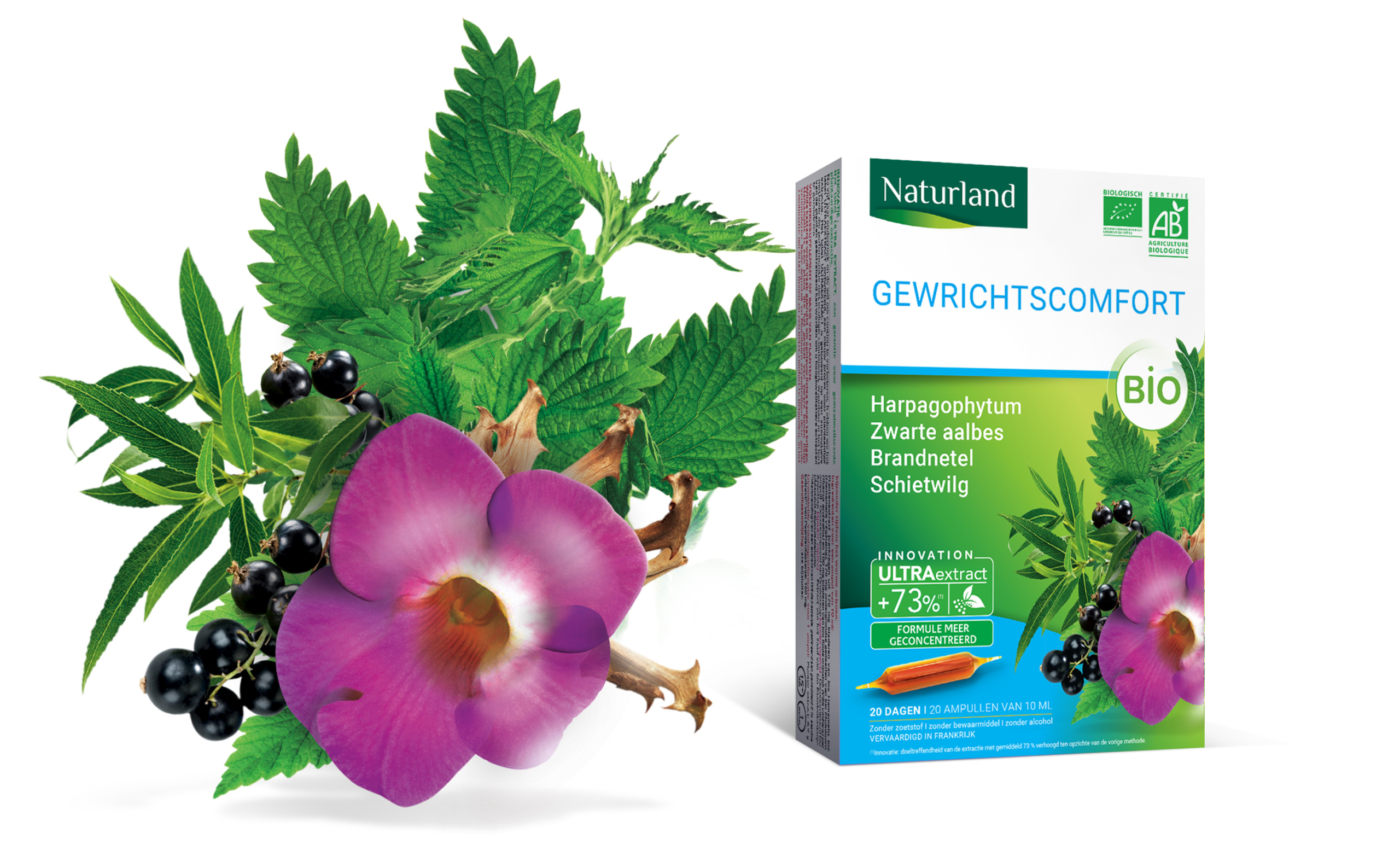 Talidad Paris et Nice Agence web design identité visuelle Logo