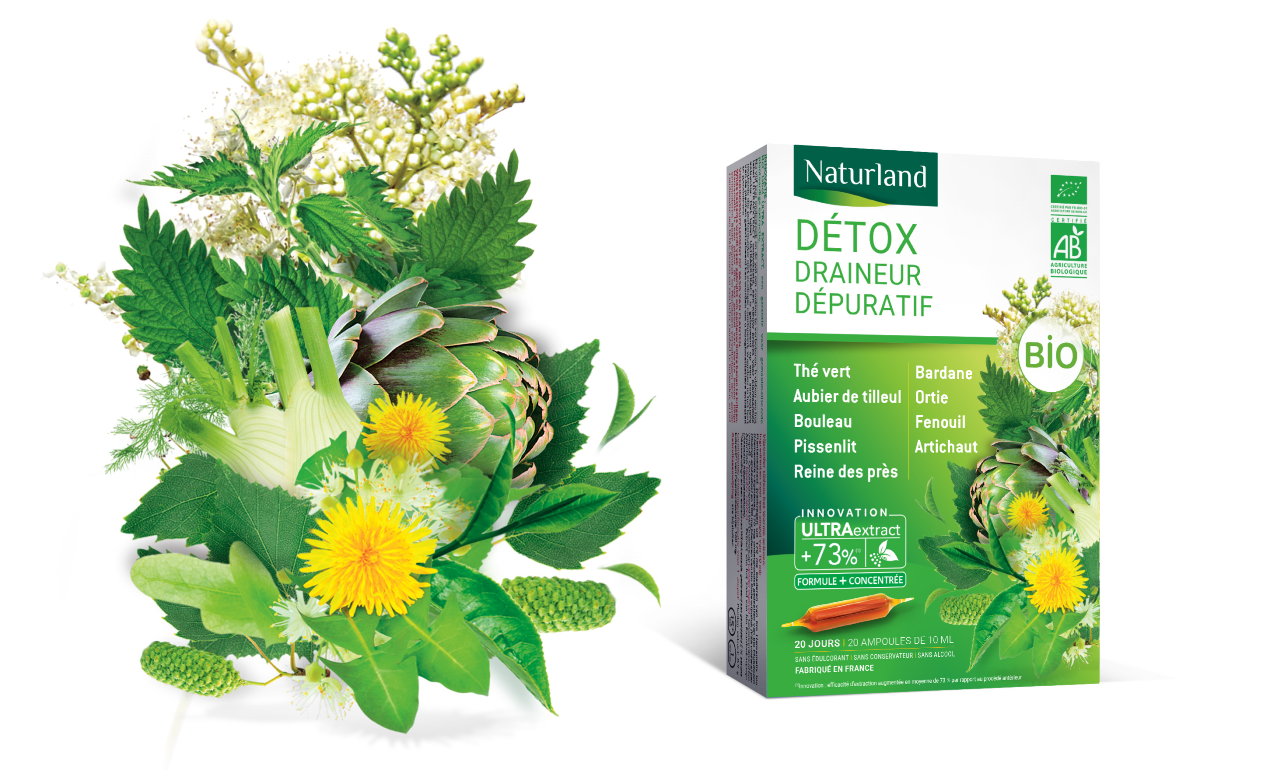 Talidad Paris et Nice Agence web design identité visuelle Logo