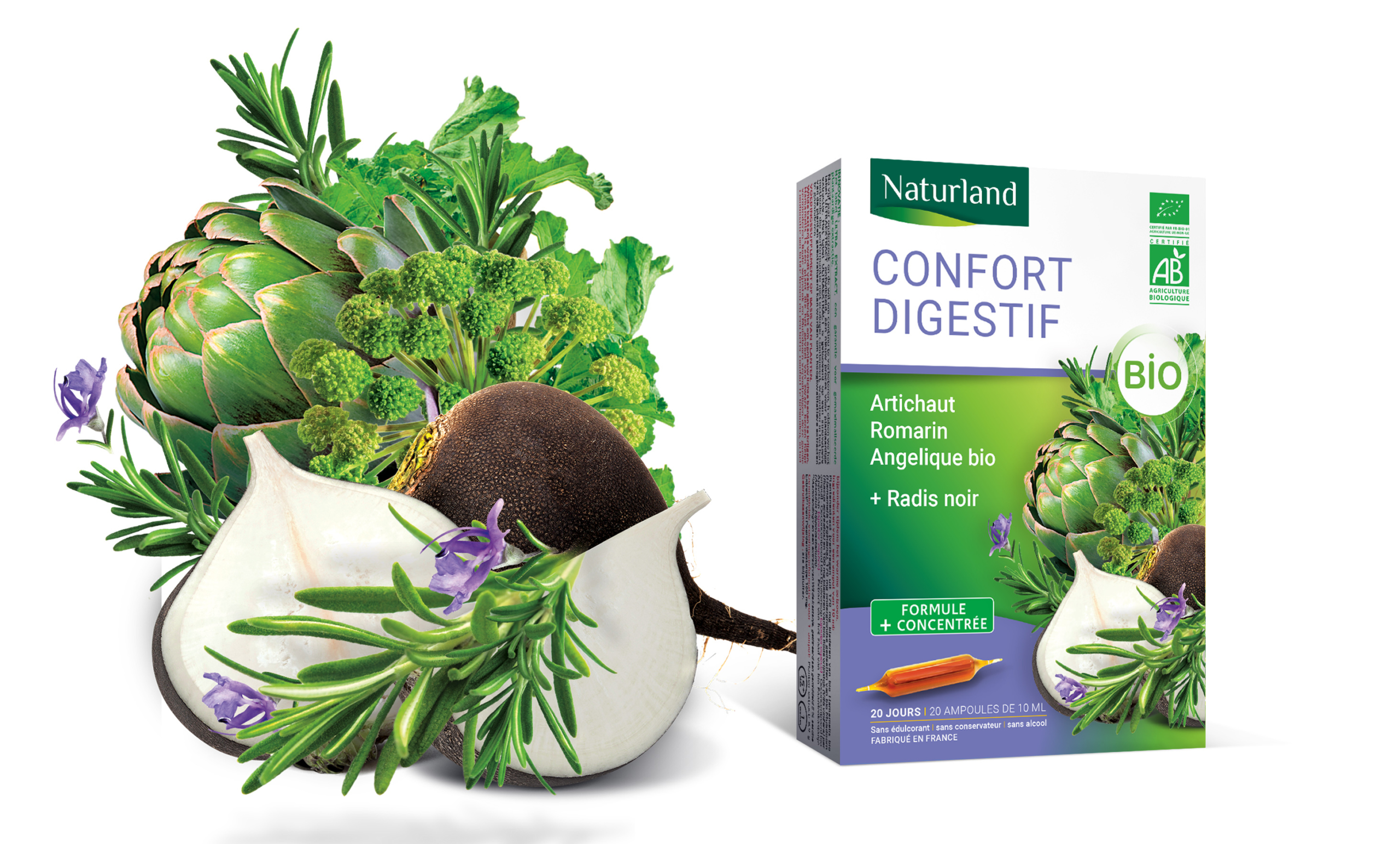 Talidad Paris et Nice Agence web design identité visuelle Logo